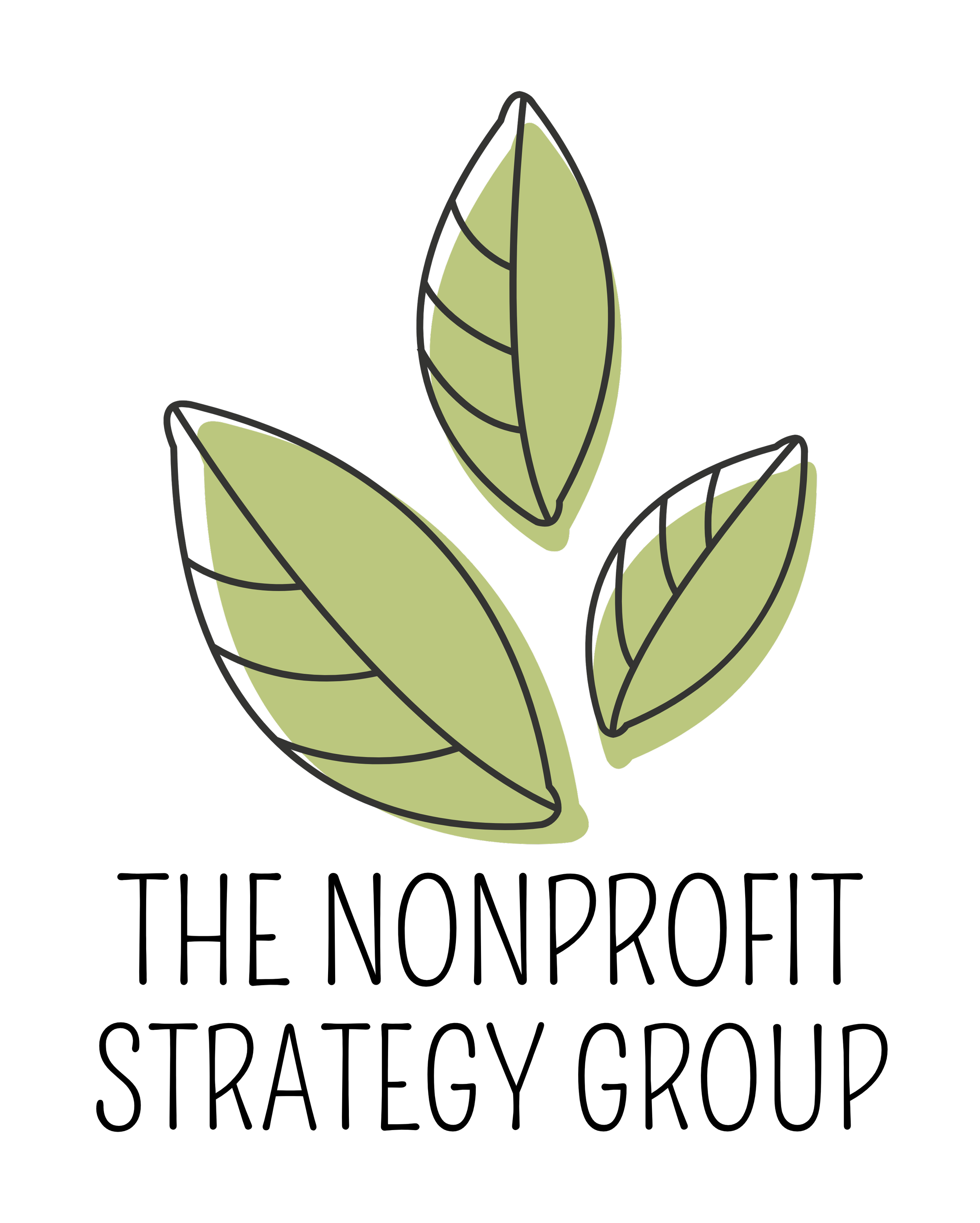 The Nonprofit Strategy Group logo